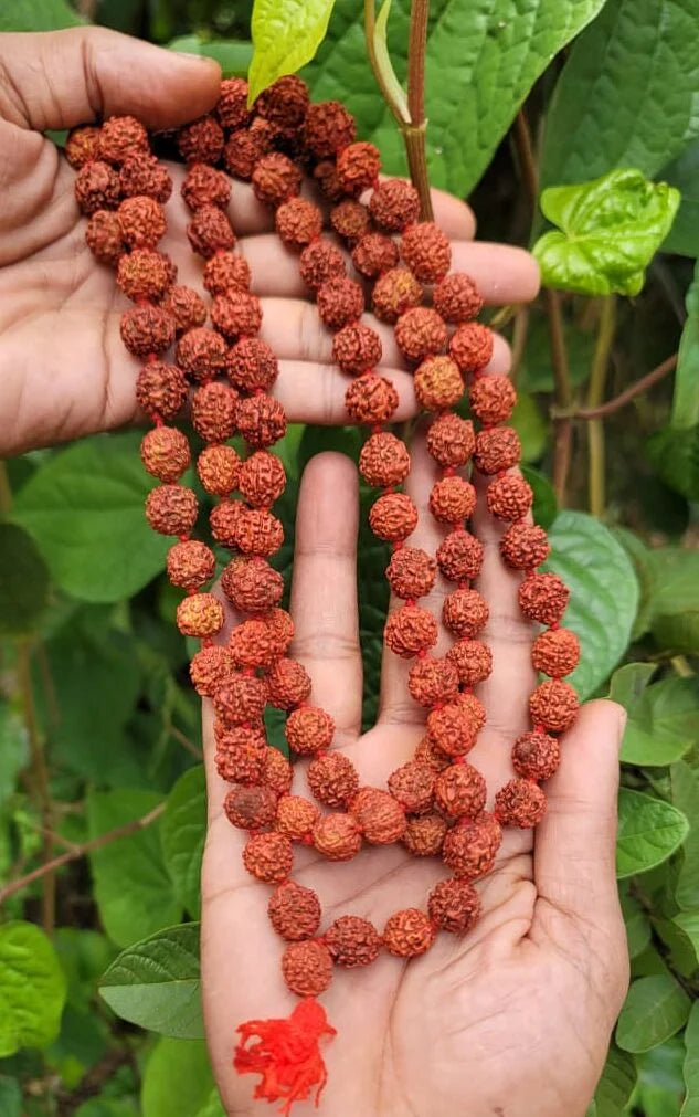 108 Pancha Mukhi Rudraksha Mala | Spiritual Mantra